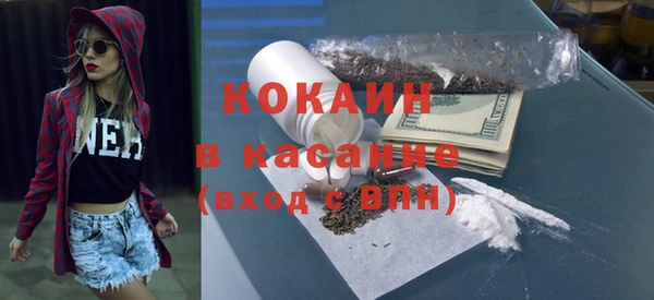 ПСИЛОЦИБИНОВЫЕ ГРИБЫ Инсар