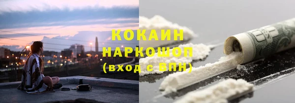 ПСИЛОЦИБИНОВЫЕ ГРИБЫ Инсар