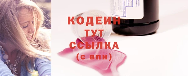 ПСИЛОЦИБИНОВЫЕ ГРИБЫ Инсар
