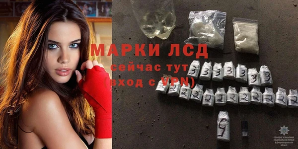 эйфоретик Инта