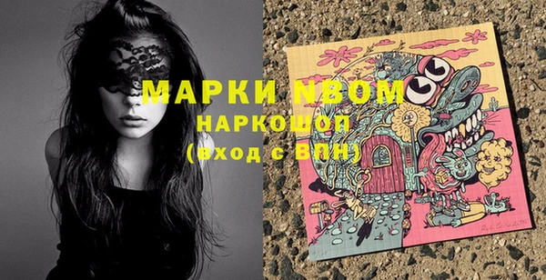 ПСИЛОЦИБИНОВЫЕ ГРИБЫ Инсар