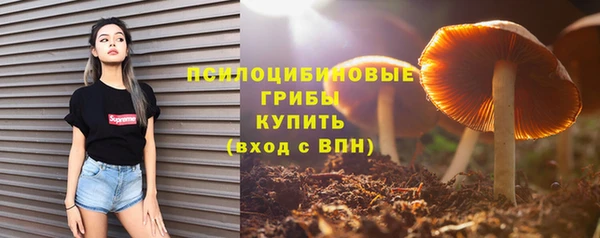 тгк Приозерск