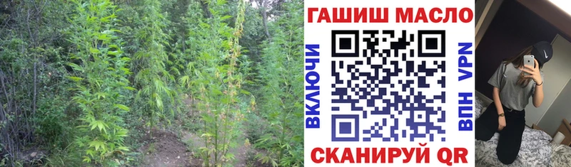 МЕГА зеркало  где можно купить наркотик  Калачинск  ТГК жижа 